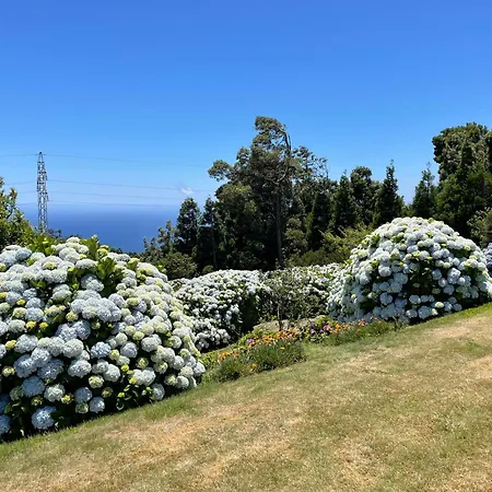 Melania * Santa Cruz (Madeira)