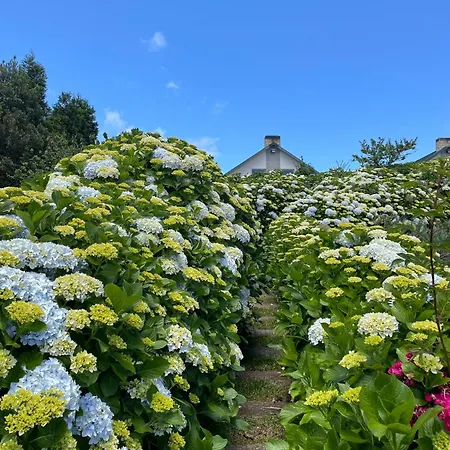 Melania Casa vacanze Santa Cruz (Madeira)